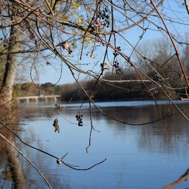 River with trees and plants on both banks.