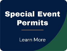 Special Events Green Blue Button