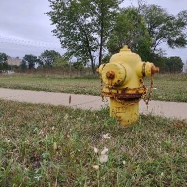 Yellow fire hydrant with grass and sidewalk around it