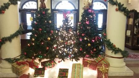 City Hall Christmas trees